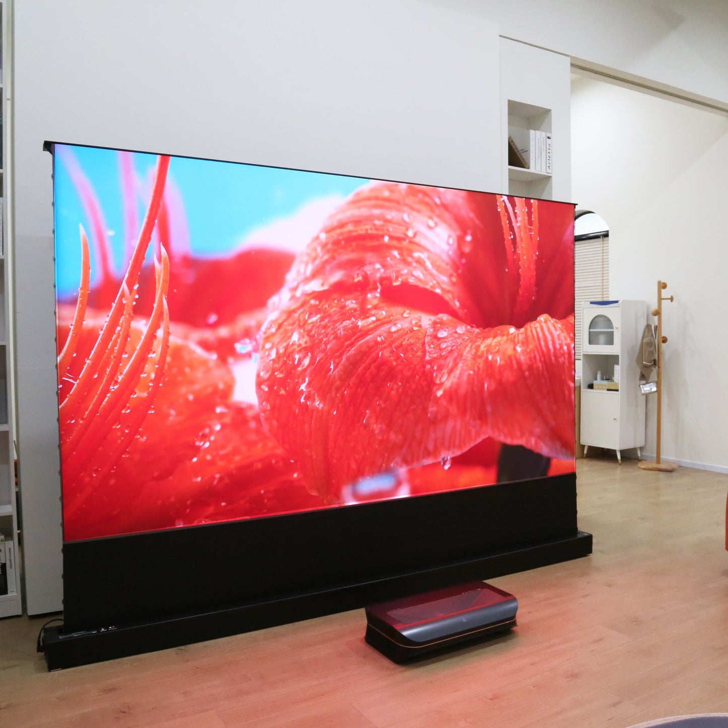 Floor Rising Screen&Projector
